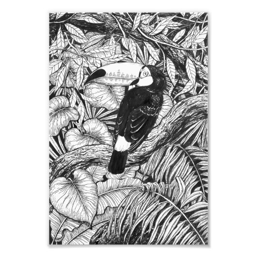Toucan tropical garden foto afdruk (Voorkant)