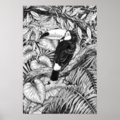 Toucan tropical garden poster (Voorkant)