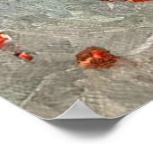 Toucan Tropisch regenwoud Vogelschilderij Poster (Hoek)