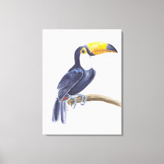 Toucan, tropische vogel canvas afdruk (Voorkant)