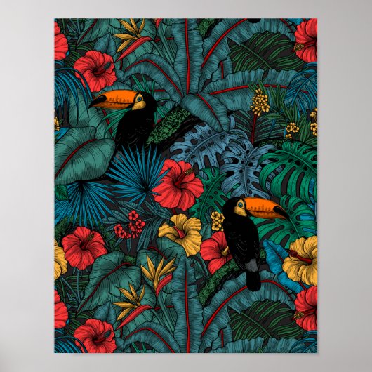 Toucan tuin poster (Voorkant)