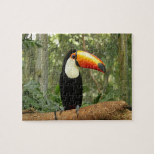 Toucan-vogel op boomtak legpuzzel