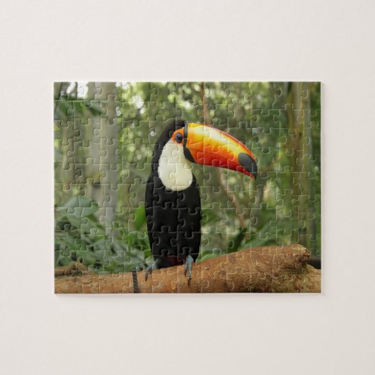 Toucan-vogel op boomtak legpuzzel (Horizontaal)