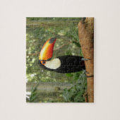 Toucan-vogel op boomtak legpuzzel (Verticaal)
