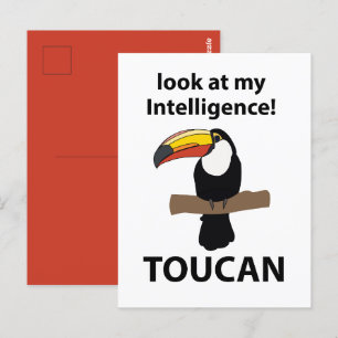 Toucan Vogel Tropisch Grappig Briefkaart