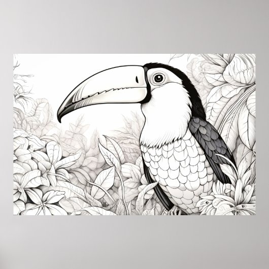 Toucan Vreedzame Natuur Prairie Schets Tekenkunst Poster (Voorkant)