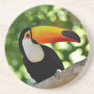 Toucan Zandsteen Onderzetter