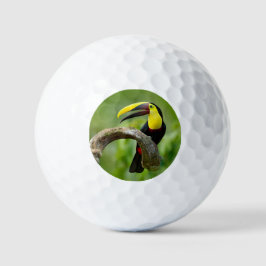 Toucan zittend op de tak in het bos golfballen