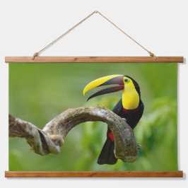 Toucan zittend op de tak in het bos hangend wandkleed