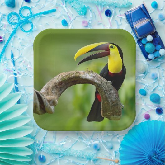 Toucan zittend op de tak in het bos papieren bordje (Feest)