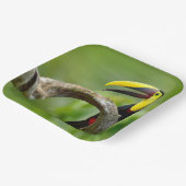 Toucan zittend op de tak in het bos papieren bordje (Gebogen)