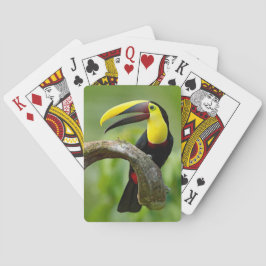 Toucan zittend op de tak in het bos pokerkaarten