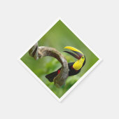 Toucan zittend op de tak in het bos servet (Hoek)