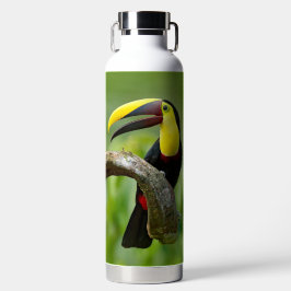 Toucan zittend op de tak in het bos waterfles