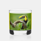 Toucan zittend op de tak in het bos whisky glas (Voorkant)