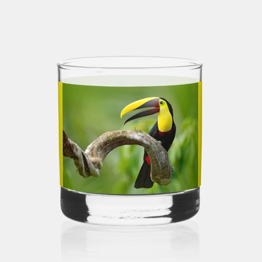 Toucan zittend op de tak in het bos whisky glas (Achterkant)