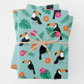 Toucanans Inpakpapier Vel (In situ)