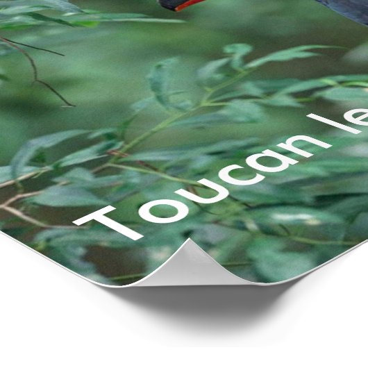 ToucanMath Poster