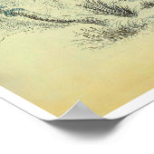 Toucans -  afdrukken poster (Hoek)