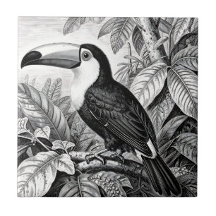 Toucans Jungle Loofwerk Gravure Tegeltje