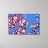 Touch Blue Japans Cherry Blossom Canvas Afdruk (Voorkant)