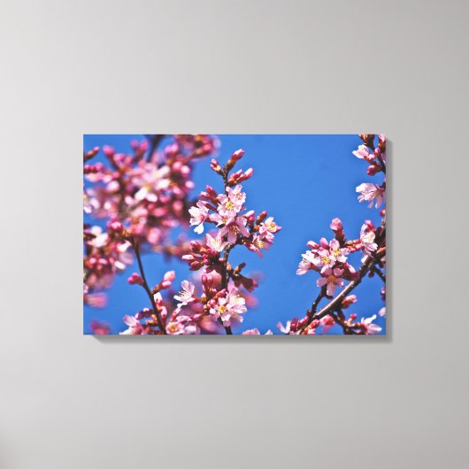 Touch Blue Japans Cherry Blossom Canvas Afdruk (Voorkant)
