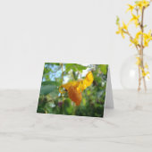 Touch-Me-Not Sinaasappel Wildflower Kaart (Gele Bloem)