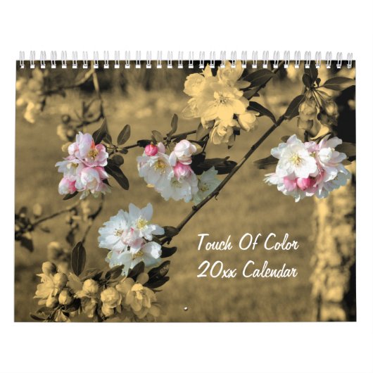 Touch Of Color Flowers And Nature Kalender (Hoes)