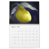Touch Of Color Flowers And Nature Kalender (Feb 2027)
