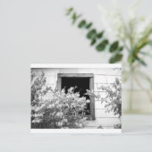 TOUCH VAN GRAY BRIEFKAART (Staand voorkant)