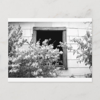 TOUCH VAN GRAY BRIEFKAART
