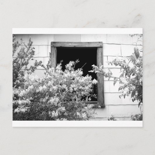 TOUCH VAN GRAY BRIEFKAART (Voorkant)