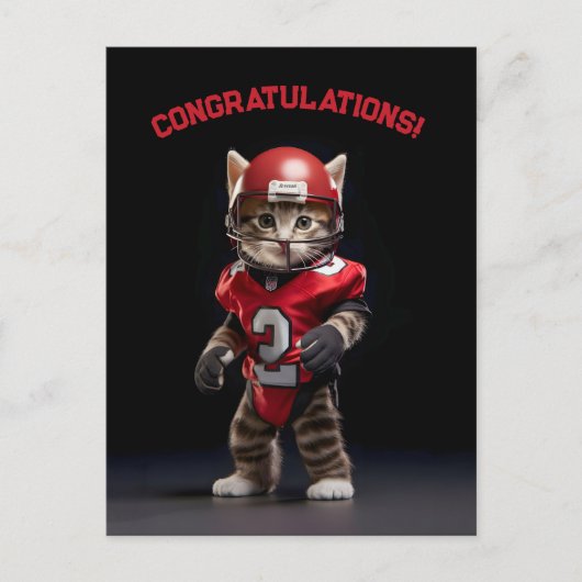 Touchdown Kitten Briefkaart (Voorkant)