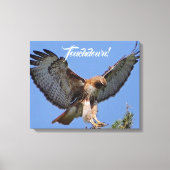 Touchdown Red Tailed HawK Canvas Afdruk (Voorkant)