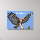 Touchdown Red Tailed HawK Canvas Afdruk (Voorkant)