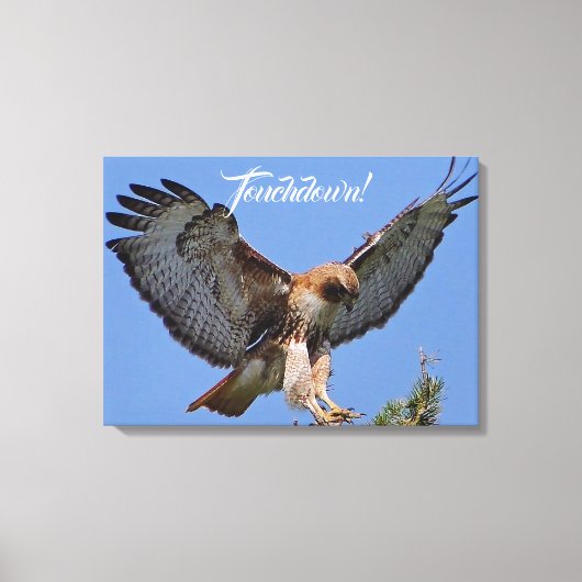 Touchdown Red Tailed HawK Canvas Afdruk (Voorkant)