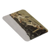 Touchdown, Yale vs. Princeton, Thanksgiving Dag, Magneet (Rechterzijde)