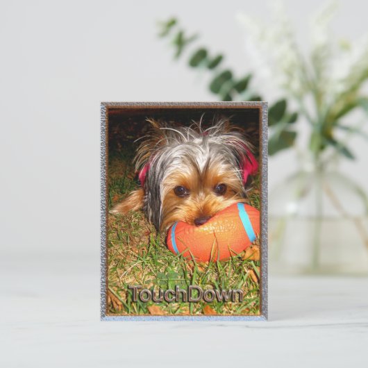 TouchDown Yorkie Briefkaart (Staand voorkant)