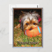 TouchDown Yorkie Briefkaart (Voorkant / Achterkant)