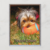TouchDown Yorkie Briefkaart (Voorkant)