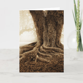 Touching_Earth_MW1104 Kaart