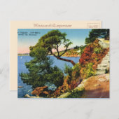 Toulon, Pet Brun, 1924 Briefkaart (Voorkant / Achterkant)