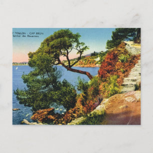 Toulon, Pet Brun, 1924 Briefkaart