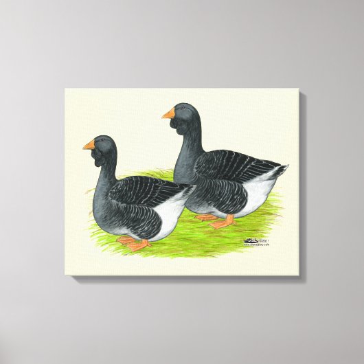 Toulouse Dewlap Geese Canvas Afdruk (Voorkant)
