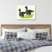 Toulouse Dewlap Geese Canvas Afdruk (Insitu (Slaapkamer))