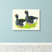 Toulouse Dewlap Geese Canvas Afdruk (Insitu (Houten vloer))