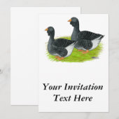 Toulouse Dewlap Geese Kaart (Voorkant / Achterkant)