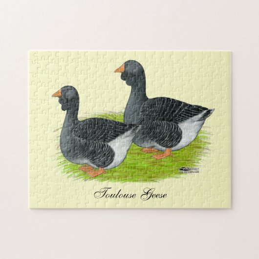 Toulouse Dewlap Geese Legpuzzel (Horizontaal)