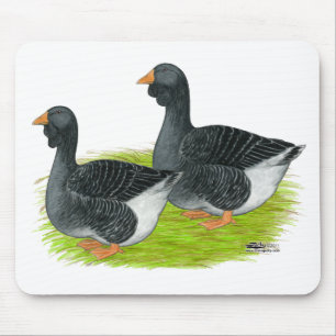 Toulouse Dewlap Geese Muismat