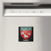 Toulouse France Kitchen Magnet (Insitu (Vaatwasser))